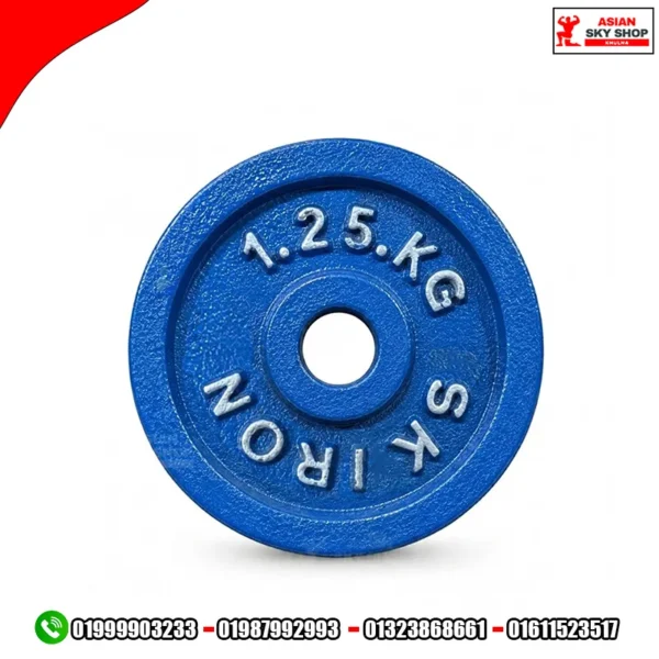 SK Iron 1.25kg Cast Iron Weight Plate Blue
