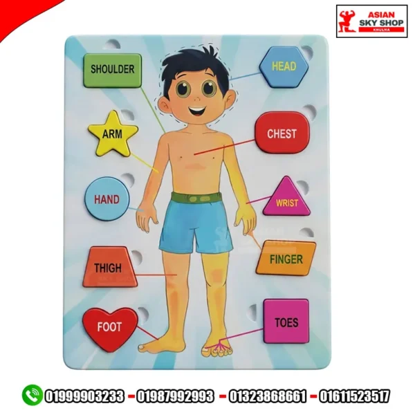 Wooden Human Body Parts Puzzle Board